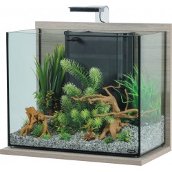 IDRO 50 Aquarium Zébrano...