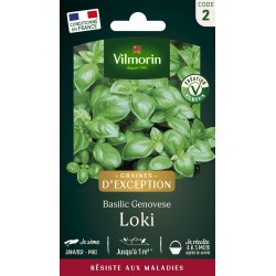 VILMORIN GRAINES...