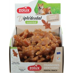 DIPLO'DENTAL ESSENTIAL...