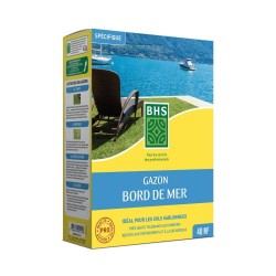 GAZON BORD DE MER...