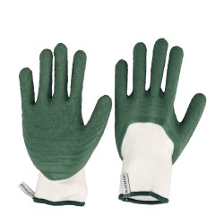 Gant Bamboo Plus T8...