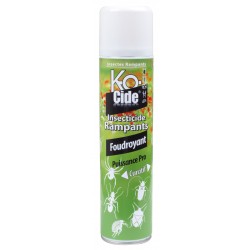 Insecticide Foudroyant...