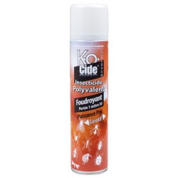 Insecticide Foudroyant...