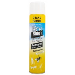 Insecticide Foudroyant...