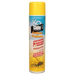 Insecticide Foudroyant Nids...