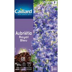 Graines Aubrietia Royal...