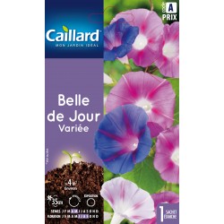 Graines Fleurs Belle De...
