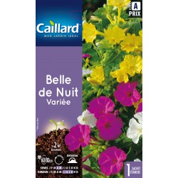 Graines Belle De Nuit...
