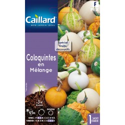 Graines Coloquintes En...