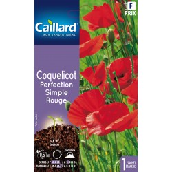 Graines Coquelicot...