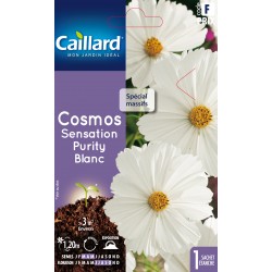 Graines Cosmos Sensation...