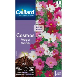 Graines Cosmos Vega -CAILLARD