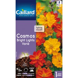 Graines Cosmos Bright...