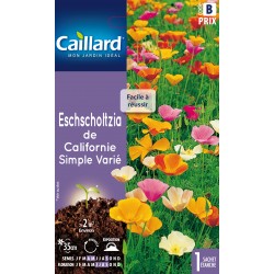 Graines Eschscholtzia De...