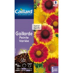 Graines Gaillarde Peinte...