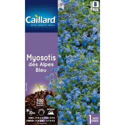 Graines Myosotis Des Alpes...