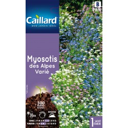 Graines Myosotis Des Alpes...
