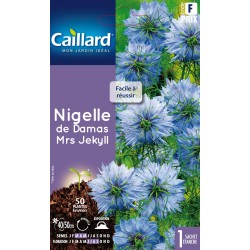 Graines Nigelle De Damas...
