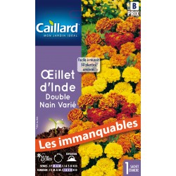 Graines Oeillet D'Inde...