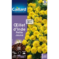 Graines Oeillet D'Inde...