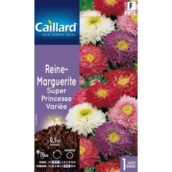 Graines Reine Marguerite...