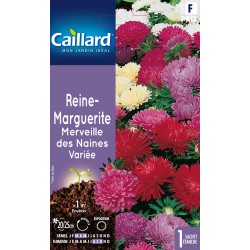 Graines Reine Marguerite...