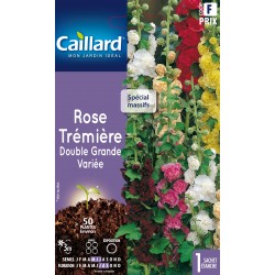Graines Rose Tremiere...