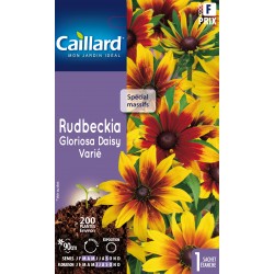 Graines Rudbeckia Gloriosa...