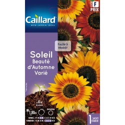 Graines Soleil Beaute...