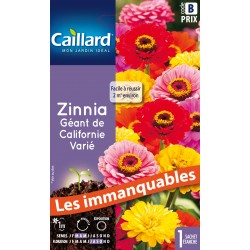 Graines Fleurs Zinnia Geant...