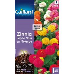 Graines Zinnia Pepito Nain...