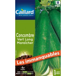 Graines Concombre Vert Long...