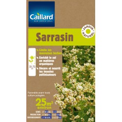 Graines Sarrasin 25M2...