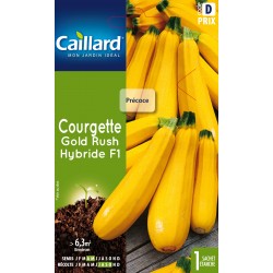 Graines Courgette Gold Rush...