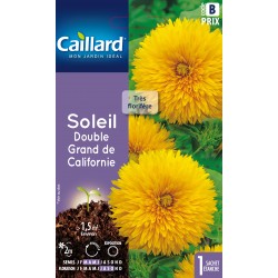 Graines Soleil Double Grand...