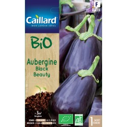 Graines Aubergine Black...