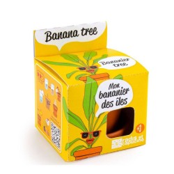 RADIS&CAPUCINE Mon bananier...