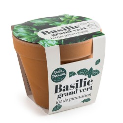 RADIS&CAPUCINE BIO Basilic...