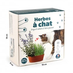 RADIS&CAPUCINE Herbe à chat...