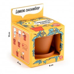 RADIS&CAPUCINE Concombre...
