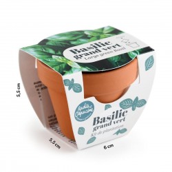 RADIS&CAPUCINE Basilic...