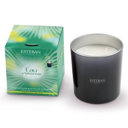 Bougie Parfumée...
