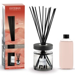 Bouquet Parfume Ellipse...