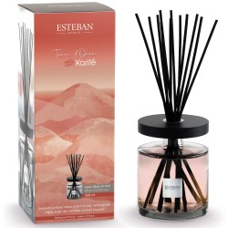 Bouquet Parfume Ellipse...
