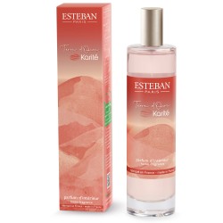 Parfum D'Ambiance Terre...