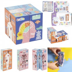 Cube Educatif Corps Humain...