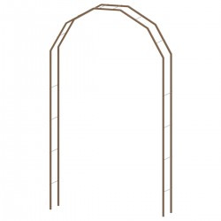 Arche Basale