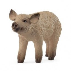 Porcelet Mangalica Farm...