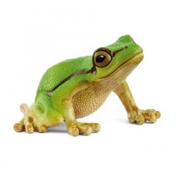 Rainette Verte Wild Life...