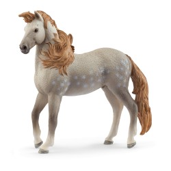 Étalon Andalou Horse Club...